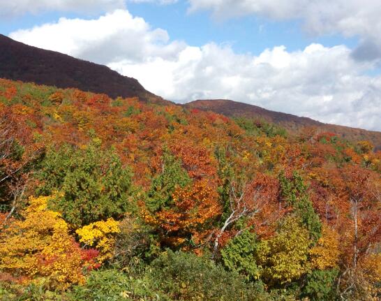 紅葉狩り.jpg