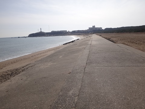 DSC07980.JPG