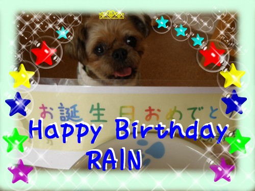BD RAIN.JPG