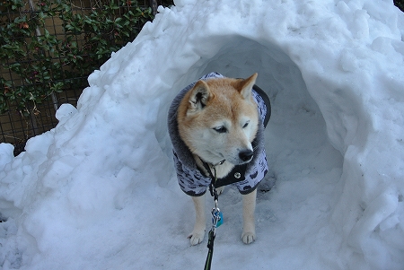 晴太サイズ.jpg