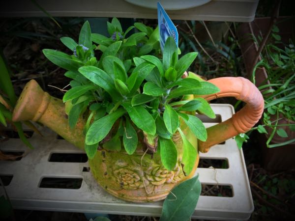 rblog-20160328175555-03.jpg