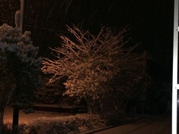 rblog-20141226072038-01.jpg