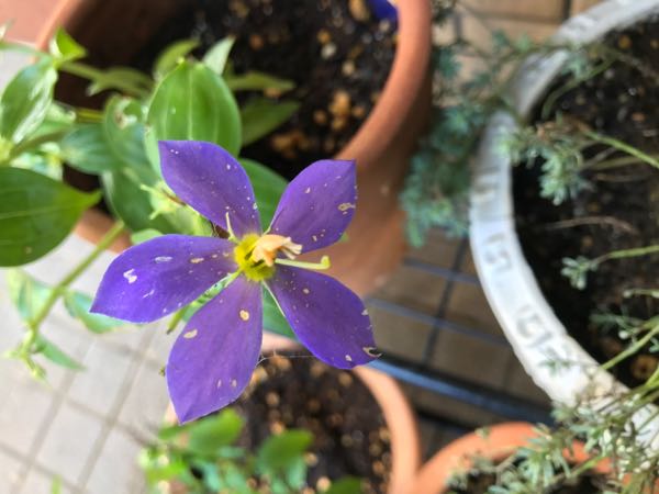 rblog-20171026190627-04.jpg