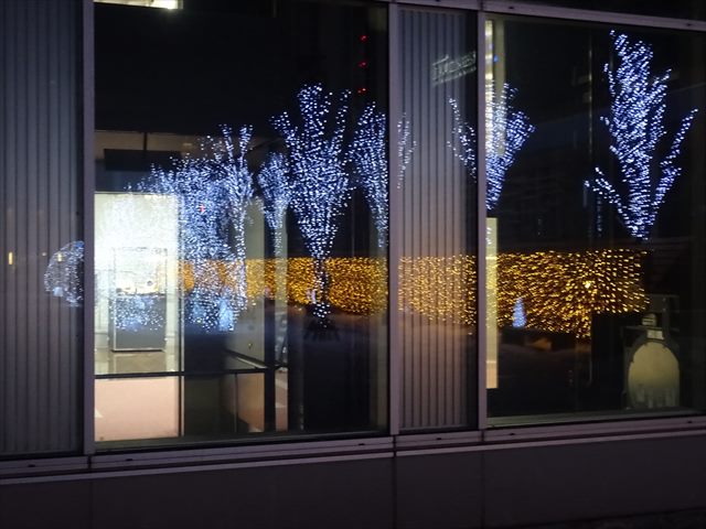 DSC09571_R.JPG