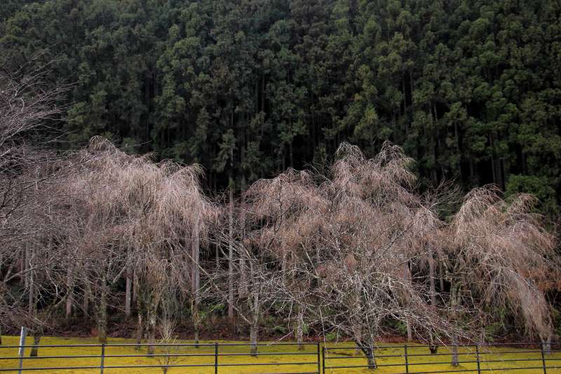 あきつの小野公園_005.jpg