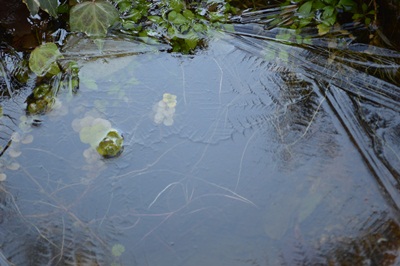 DSC_0077.JPG