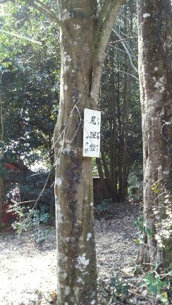 rblog-20150420205222-02.jpg