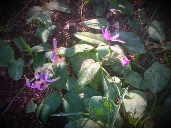 rblog-20160406132454-06.jpg