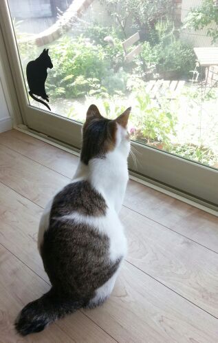 rblog-20140715234428-02.jpg
