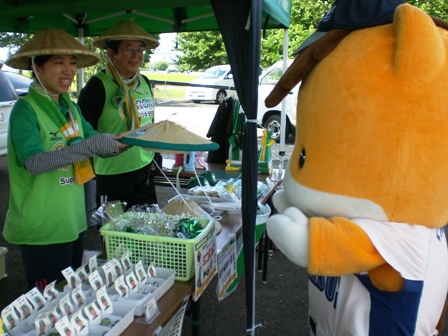 富山サンダーバーズグッズ　すげ笠