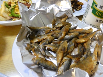 P1010062.JPG