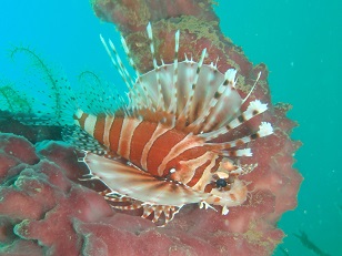 PA279674.JPG