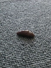 なに？？