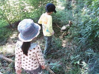 動物公園 (3).jpg