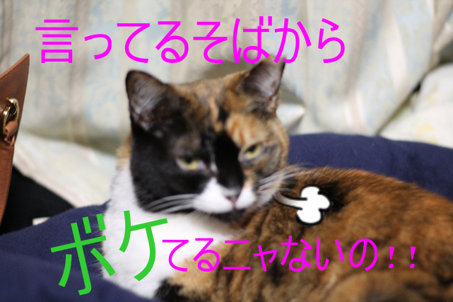 IMG_025913.png