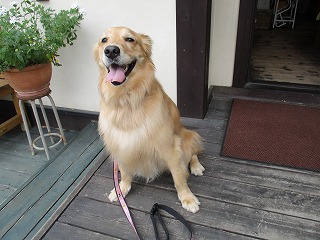 IMG_8257ss.jpg