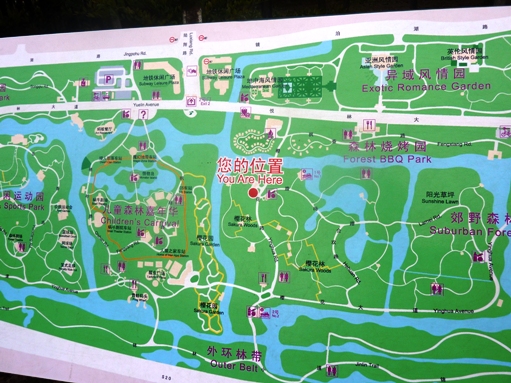 081顧村公園１.jpg