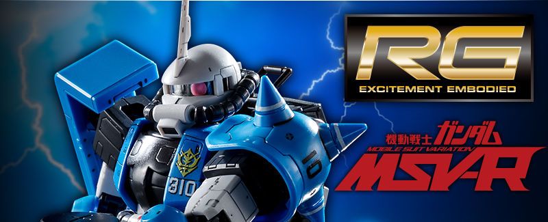RG 1/144 MS-06R-1A ユーマライトニング専用ザクⅡ RG 1/144 MS-06R-1A ユーマ・ライトニング専用ザクII│株式