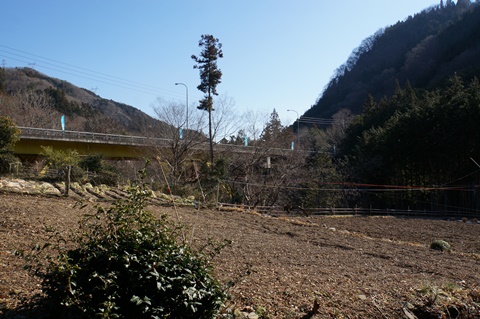DSC01606.JPG