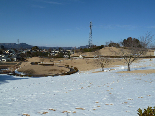 2013.1.17 048.JPG