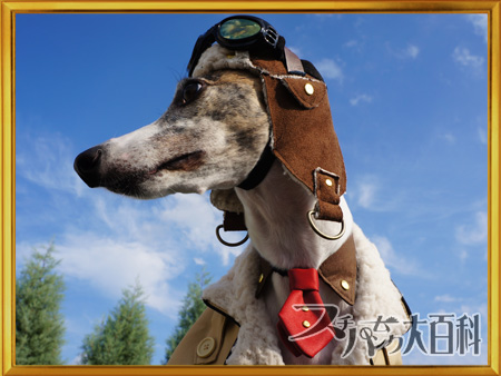 犬