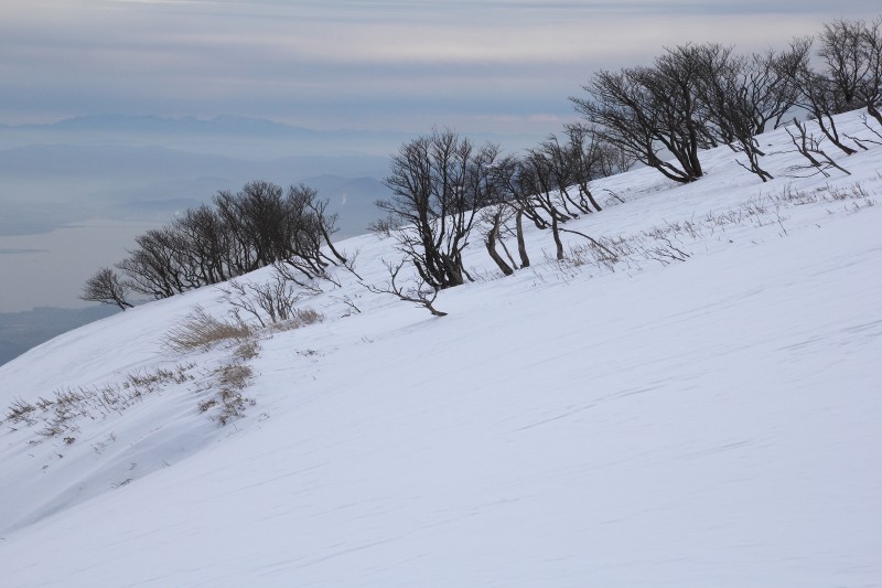 蓬莱山山頂_004.jpg