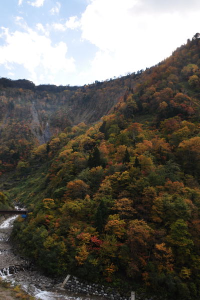 称名滝の紅葉