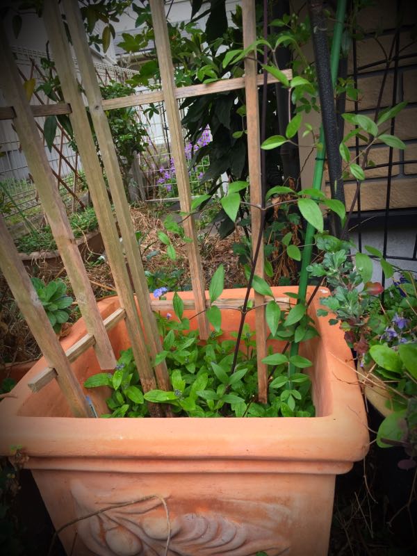 rblog-20160403110811-04.jpg
