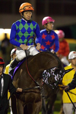パドック