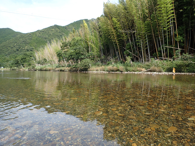 resize0009.jpg