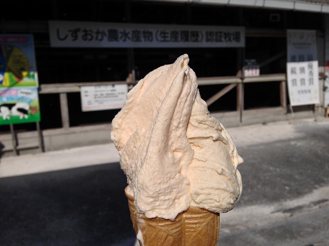 IMG_2625.jpg