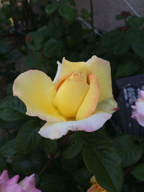 rblog-20140510132240-03.jpg