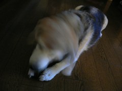 P1190079 - コピー.JPG