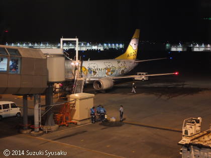 gr20141114-x100726-hok-c-ado-chitose_airport.jpg