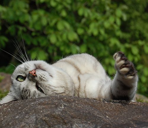 DSC_0420.JPG