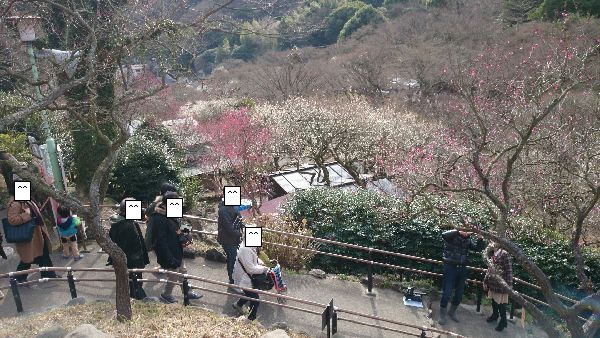 atamibaien5