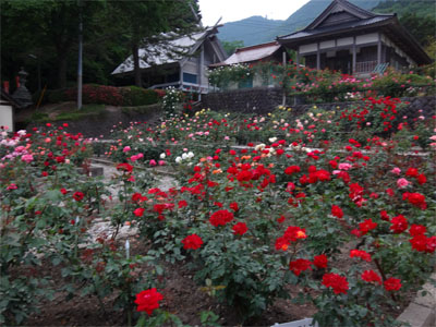 萬国屋146.jpg