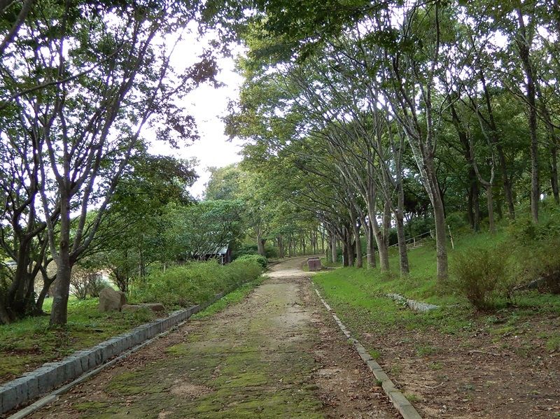 外周路3
