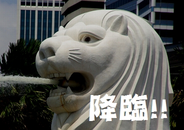 IMGP9812.jpg