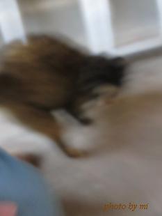 2014 018-1.JPG
