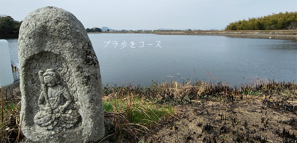 きんちゃん７２７日記