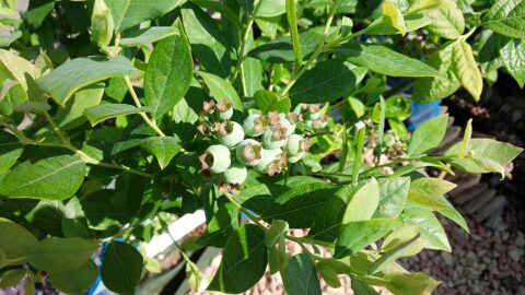 rblog-20140508141323-02.jpg