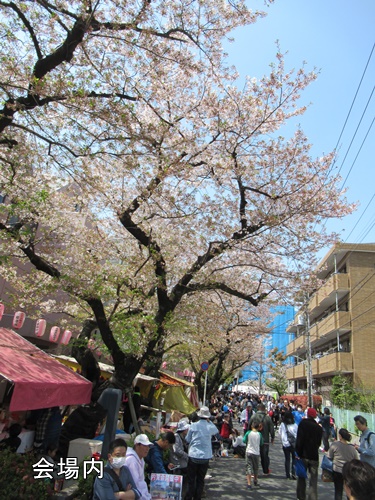 馬込文士村大桜まつり