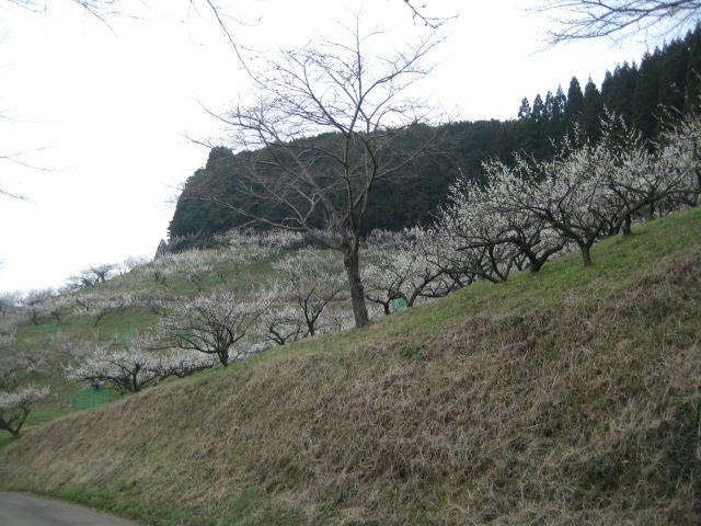IMG_7843.JPG