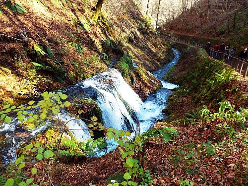 10-29 siraitonotaki-119-b.jpg