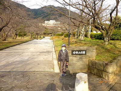 P1010790_NEW.jpg
