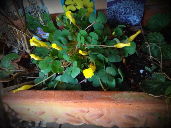 rblog-20141231135913-04.jpg