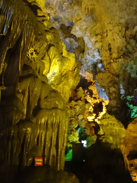 DSC09608_R.JPG