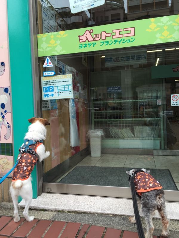 rblog-20160617011149-04.jpg