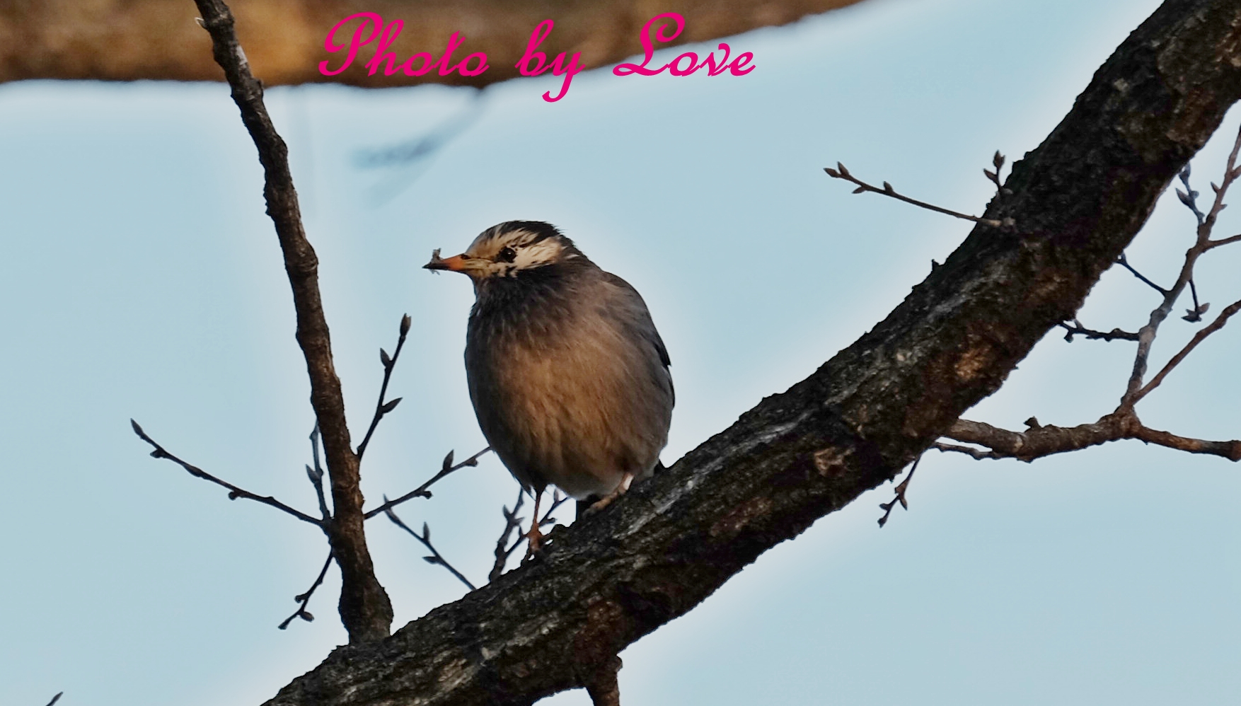 DSCF1345.JPG